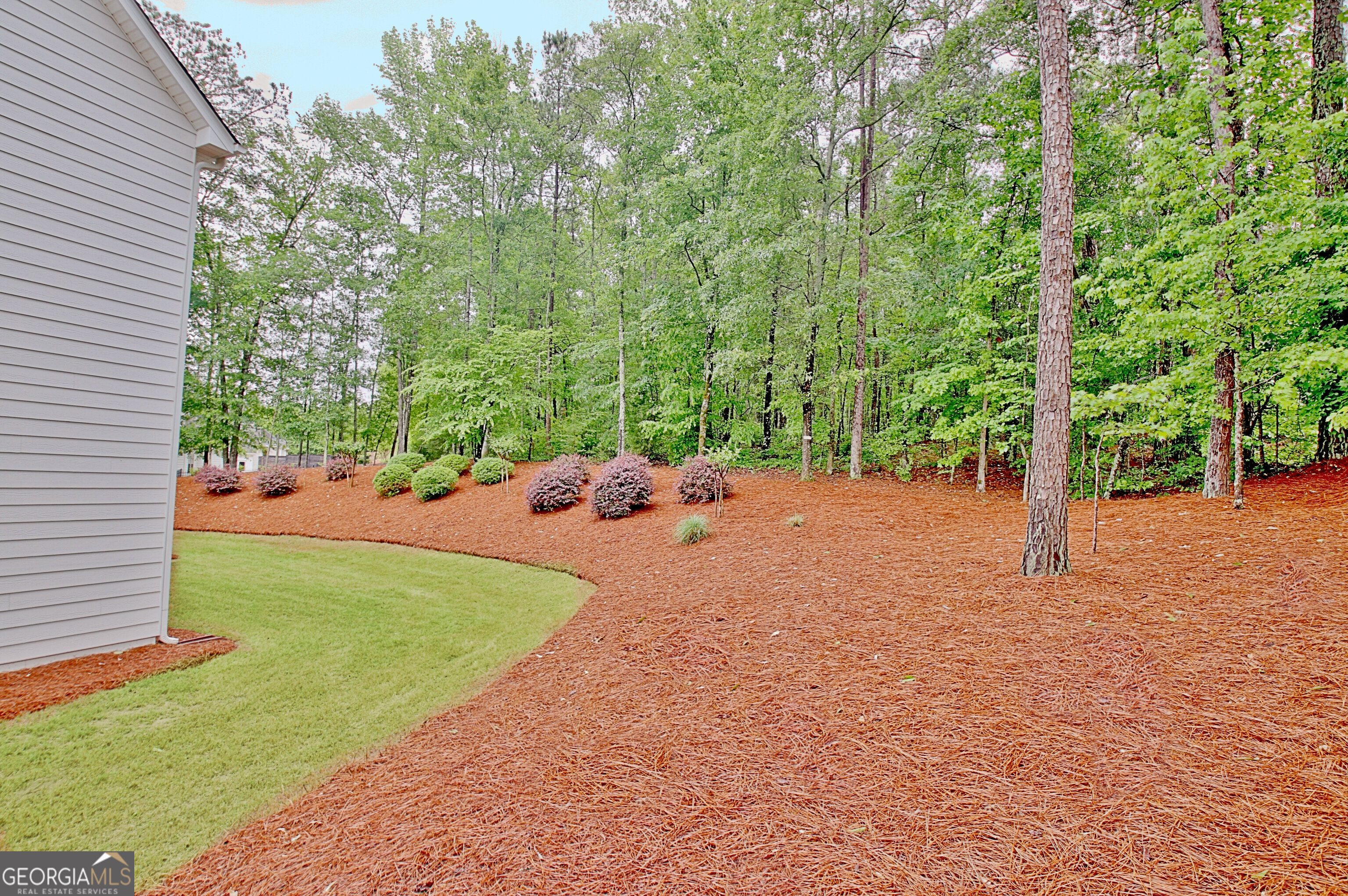 20 Woodchase Drive Senoia GA 30276