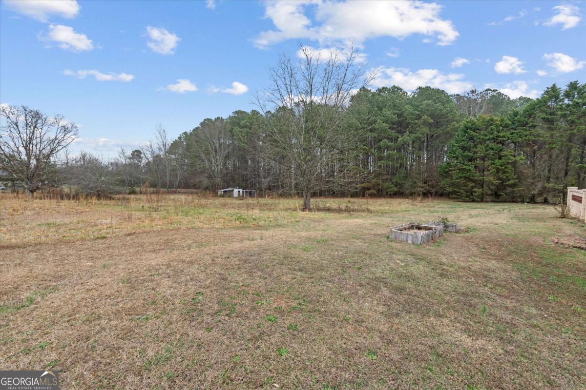 40 L Z Jackson Road Bowdon GA 30108