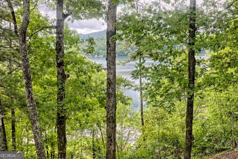 188 Magnolia Place Trail Clayton GA 30525