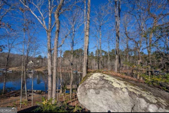 138 Winding River Road Eatonton GA 31024