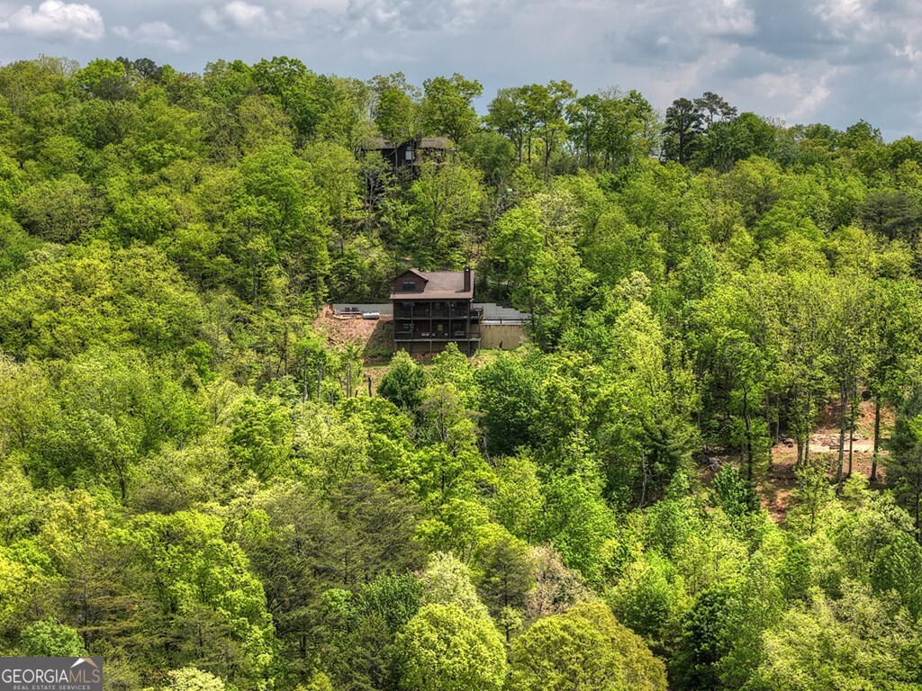 291 Tower Road Mineral Bluff GA 30559