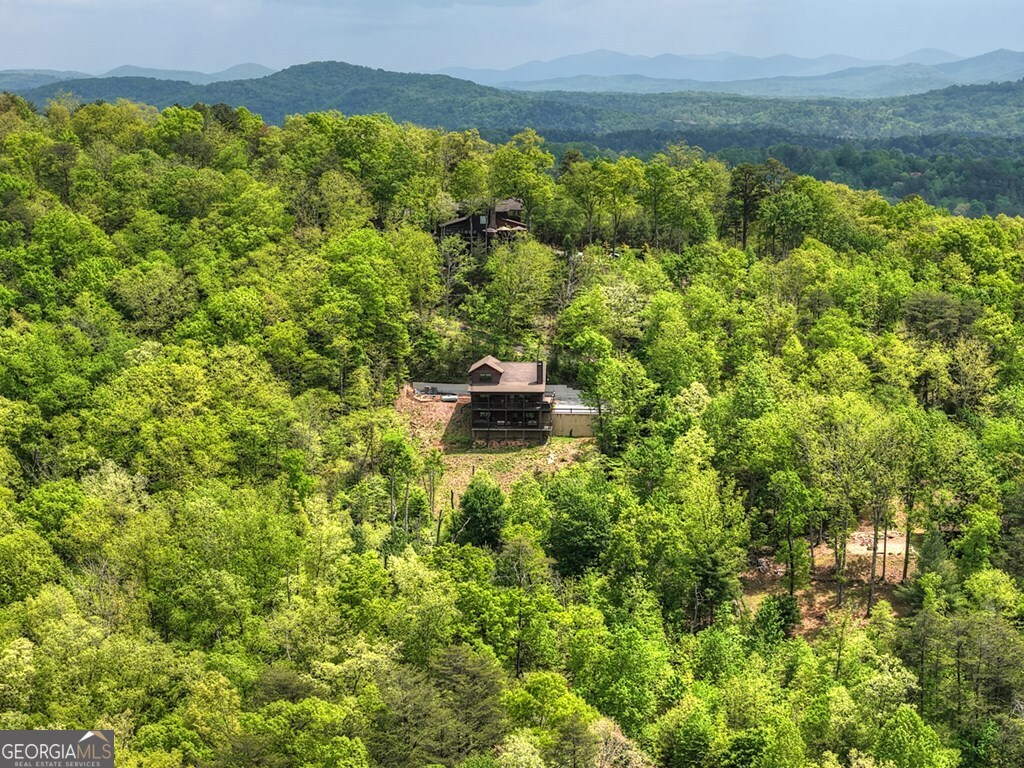 291 Tower Road Mineral Bluff GA 30559