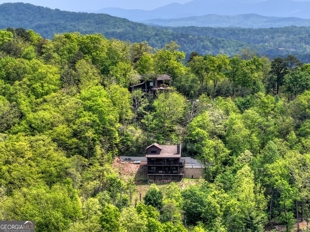 291 Tower Road Mineral Bluff GA 30559