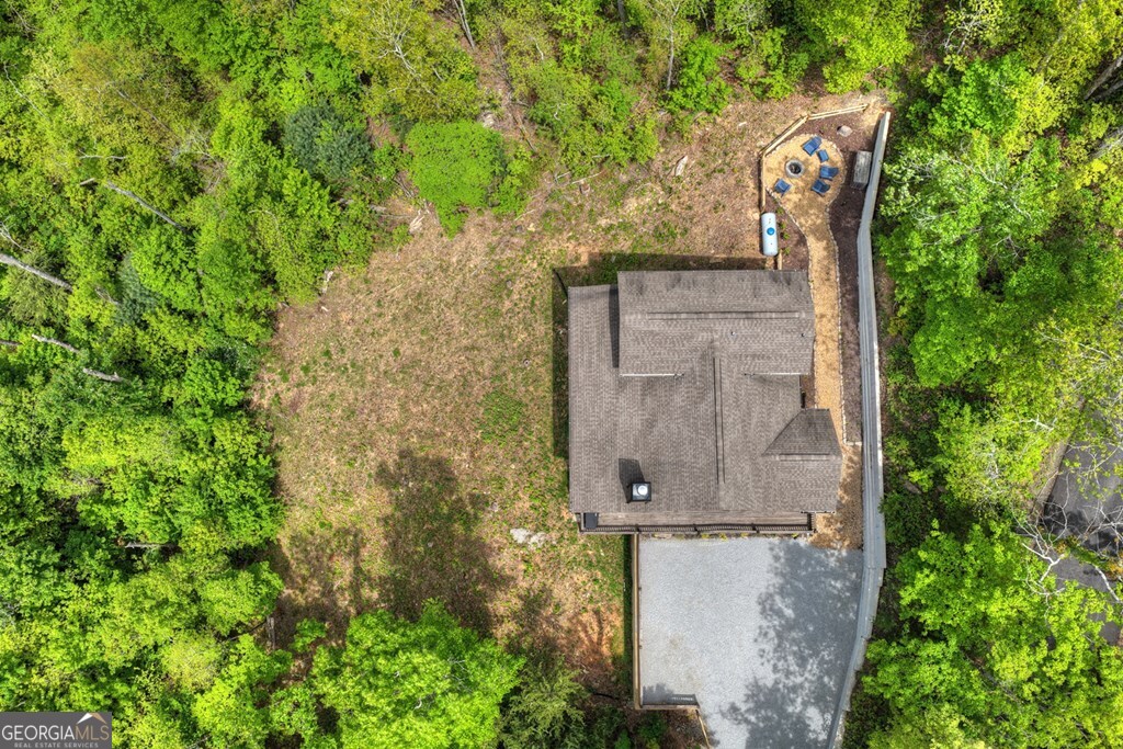 291 Tower Road Mineral Bluff GA 30559