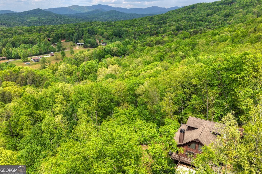291 Tower Road Mineral Bluff GA 30559
