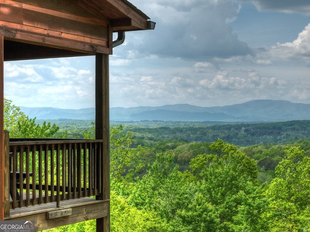 291 Tower Road Mineral Bluff GA 30559
