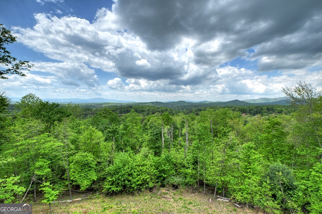 291 Tower Road Mineral Bluff GA 30559
