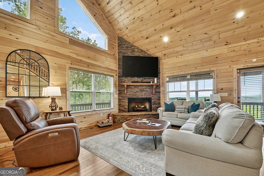 291 Tower Road Mineral Bluff GA 30559
