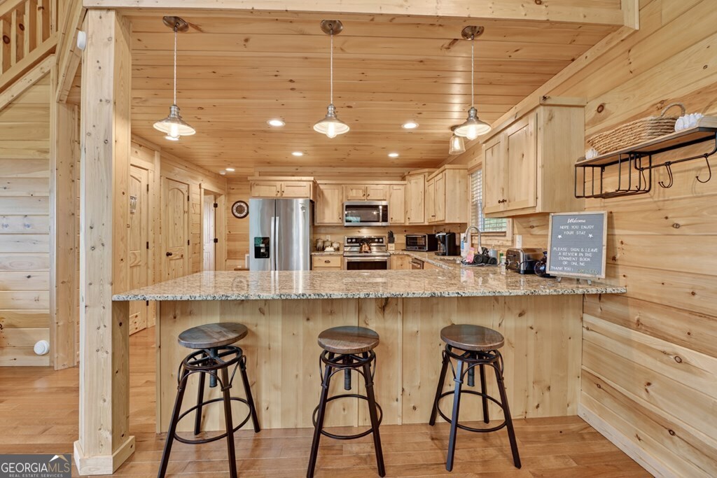 291 Tower Road Mineral Bluff GA 30559