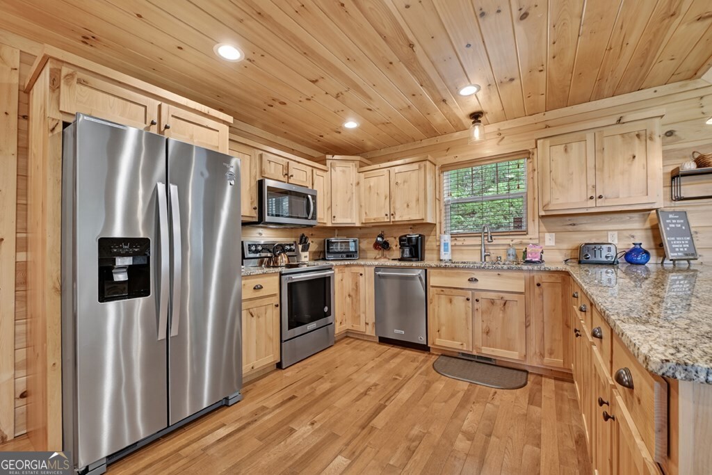 291 Tower Road Mineral Bluff GA 30559
