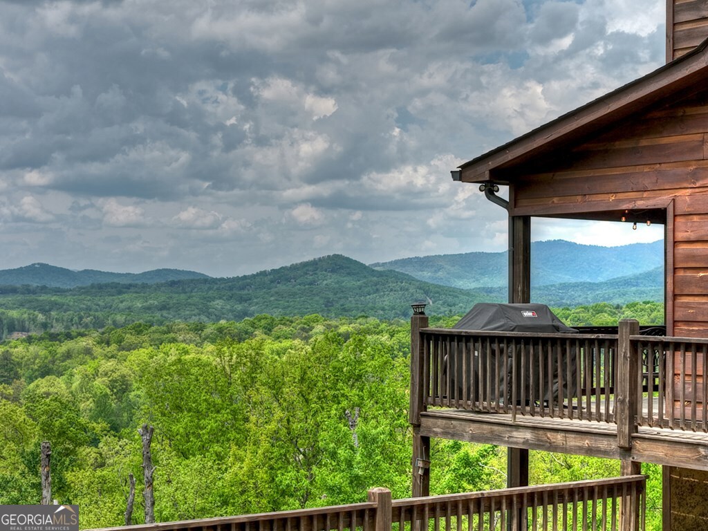 291 Tower Road Mineral Bluff GA 30559