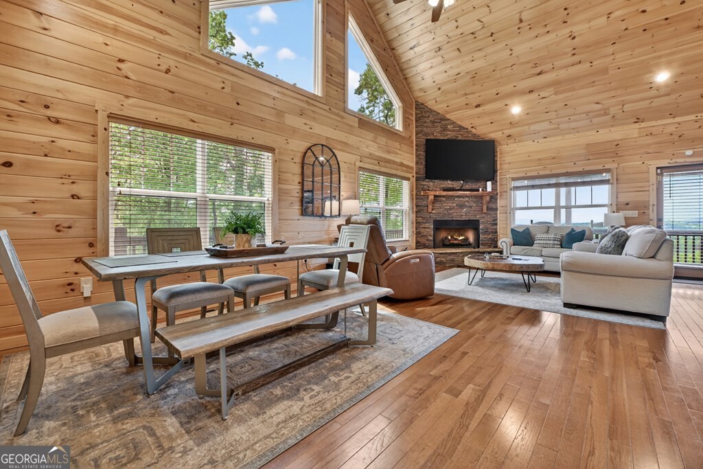 291 Tower Road Mineral Bluff GA 30559