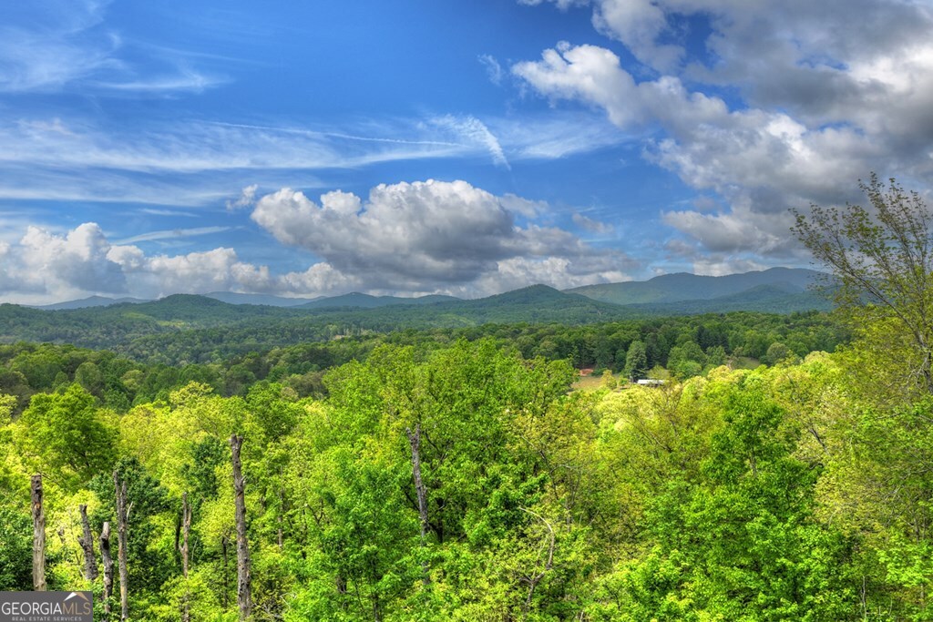 291 Tower Road Mineral Bluff GA 30559