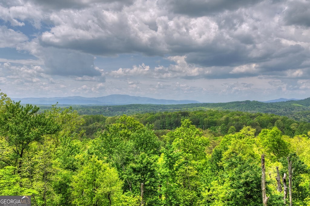 291 Tower Road Mineral Bluff GA 30559