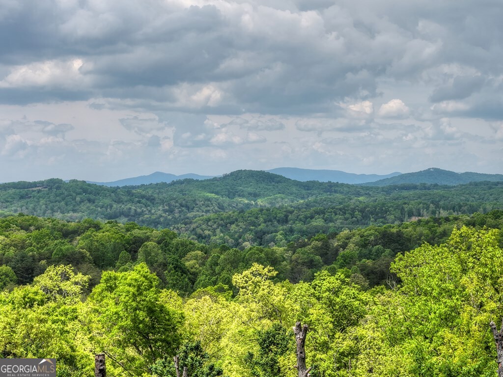 291 Tower Road Mineral Bluff GA 30559
