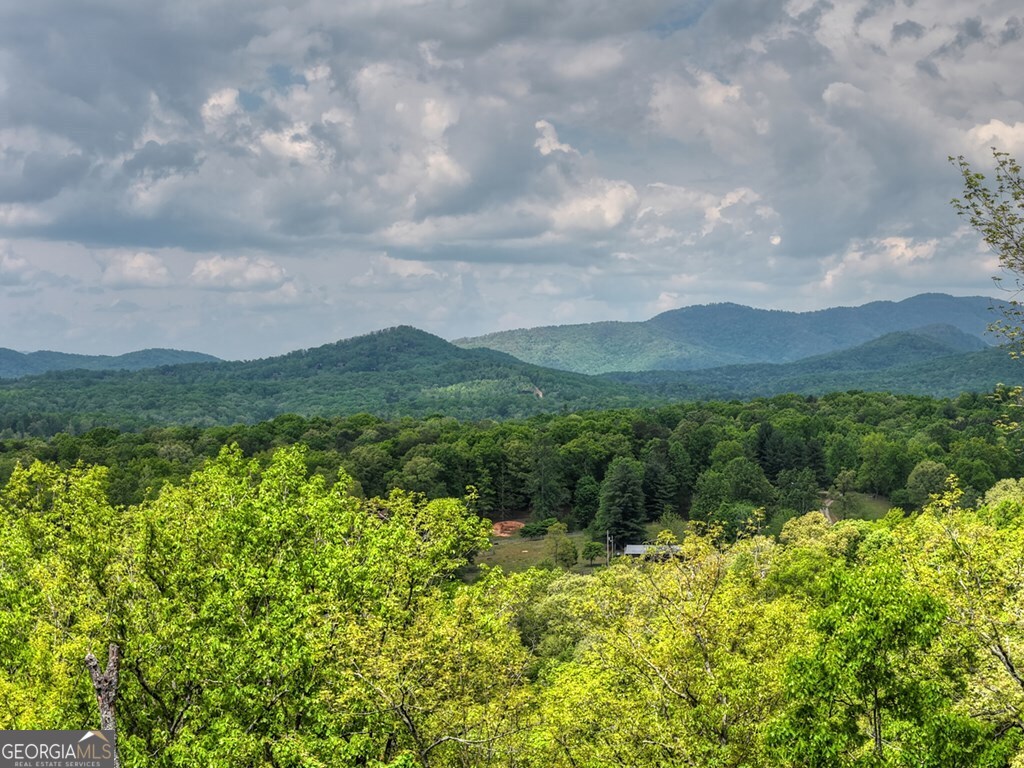 291 Tower Road Mineral Bluff GA 30559