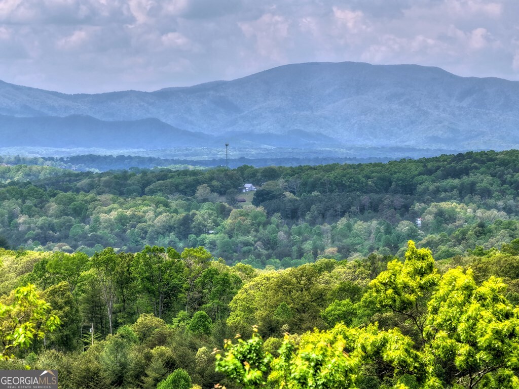 291 Tower Road Mineral Bluff GA 30559