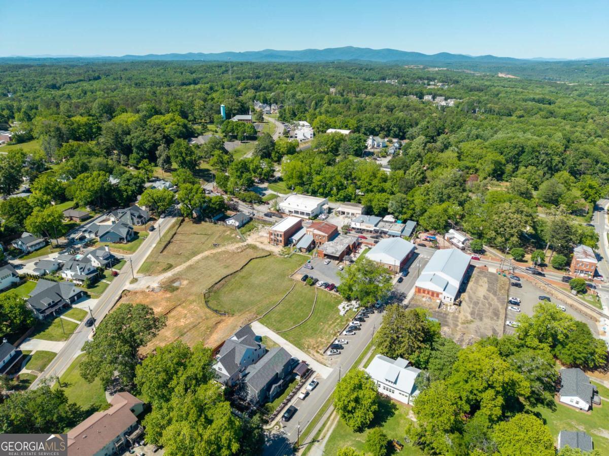 190 Chestnut Street Ball Ground GA 30107