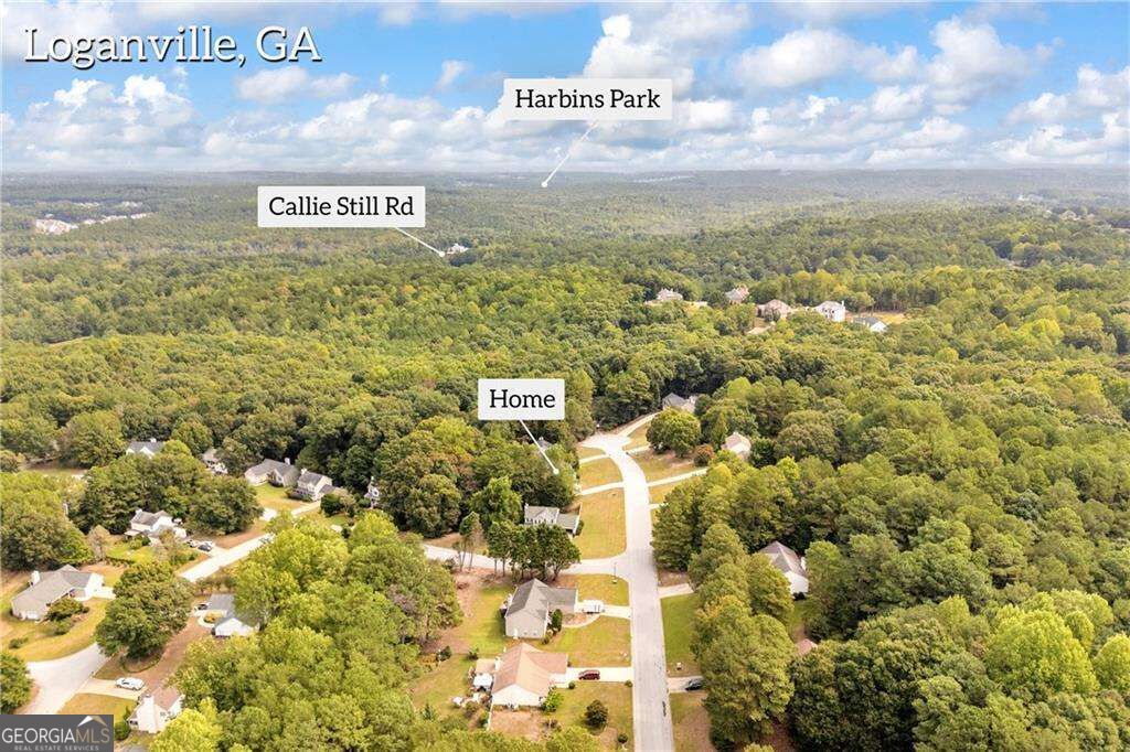 1450 Timber Walk Drive Loganville GA 30052