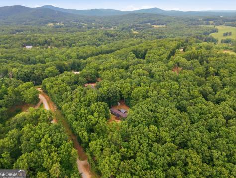 450 Snowy River Place Clarkesville GA 30523
