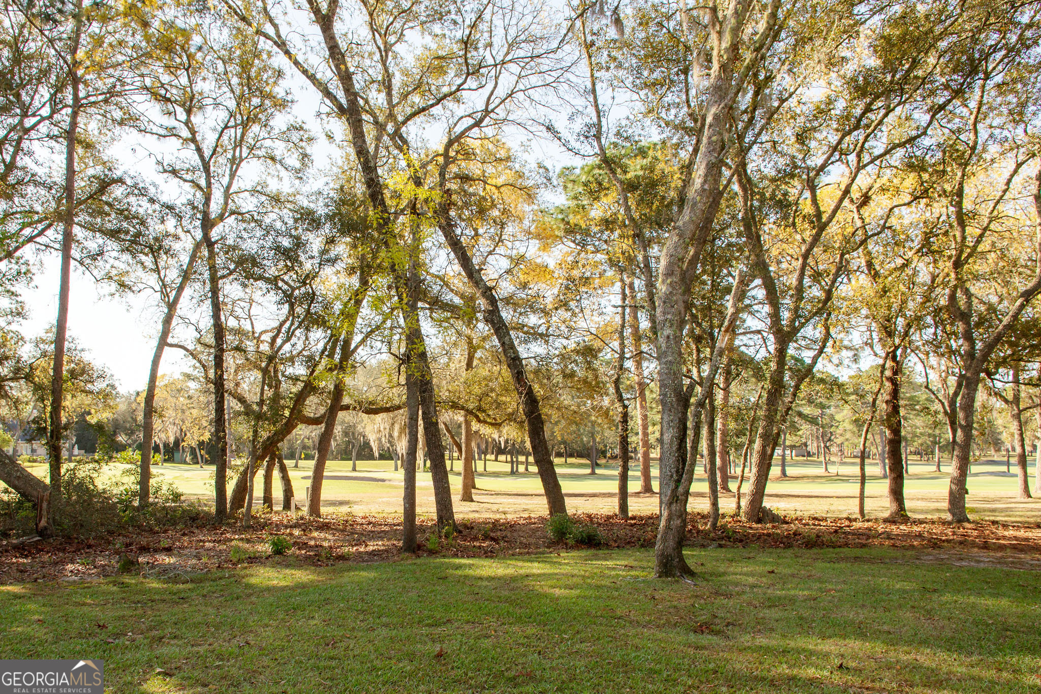 1473 N River Oaks Drive Blackshear GA 31516