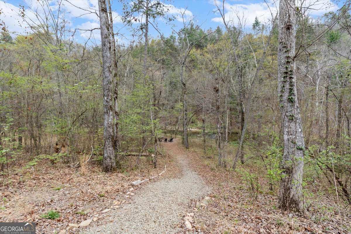 496 Meadow Lane Talking Rock GA 30175