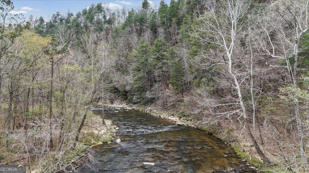 496 Meadow Lane Talking Rock GA 30175