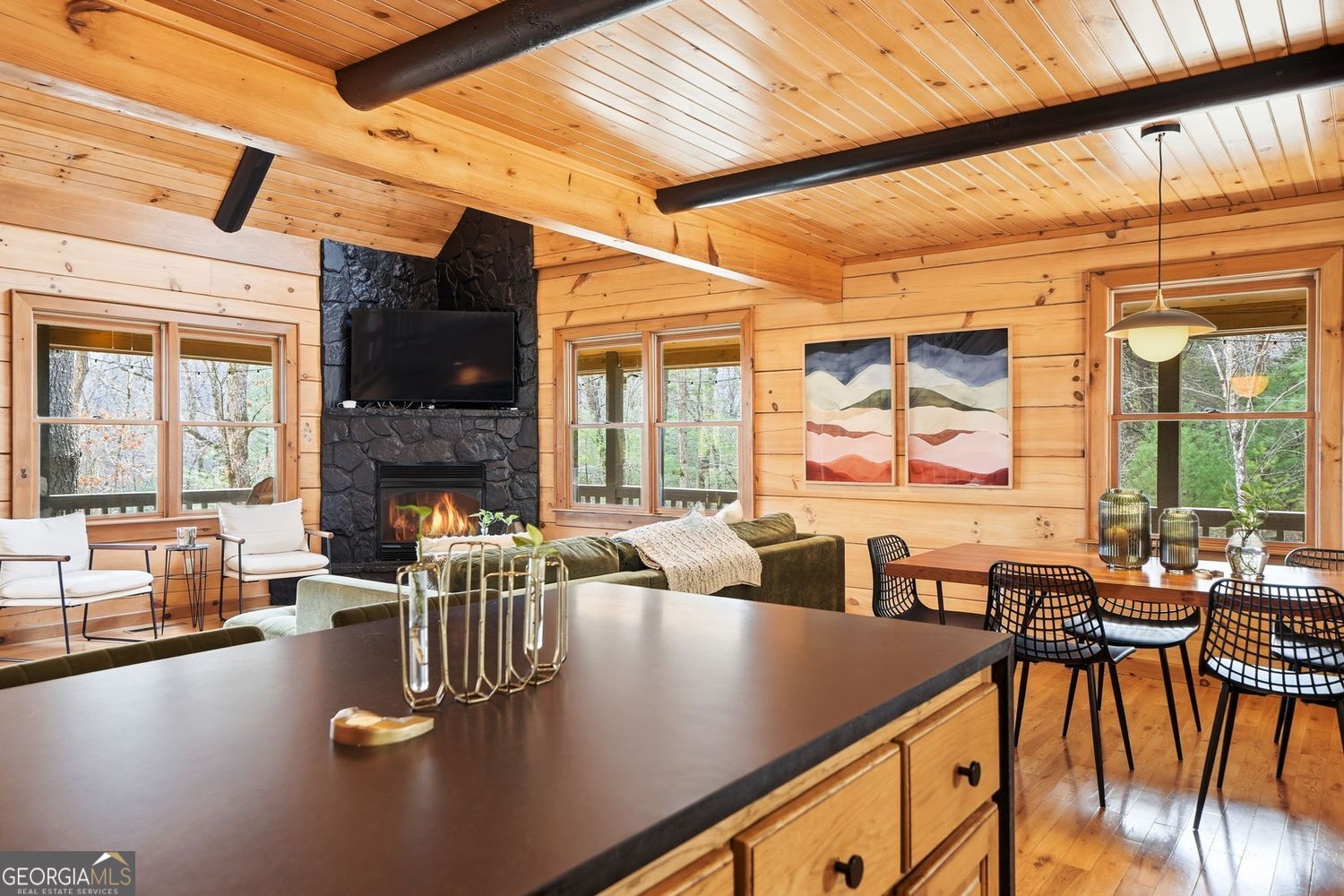 140 Black Oaks Road Cherry Log GA 30522