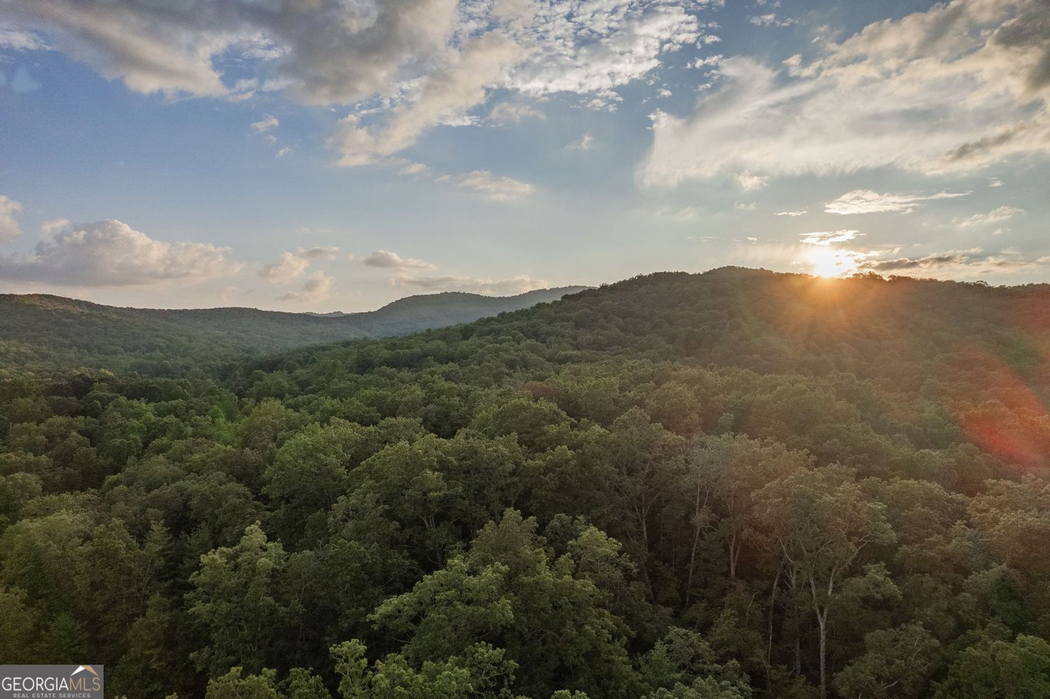 140 Black Oaks Road Cherry Log GA 30522