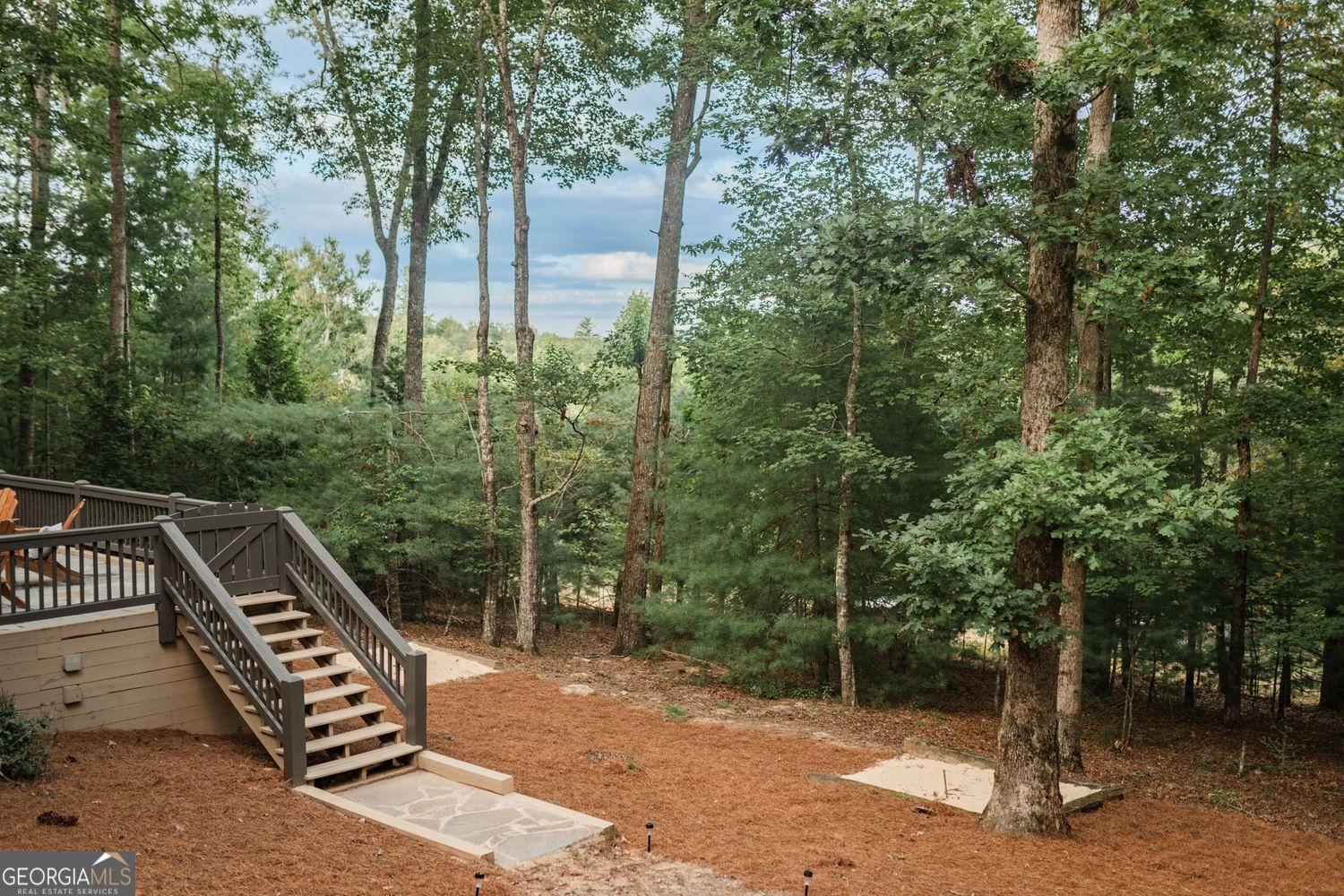 140 Black Oaks Road Cherry Log GA 30522