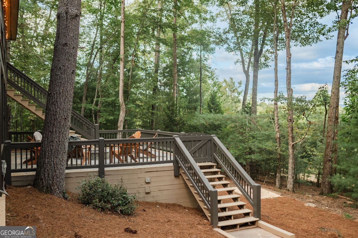 140 Black Oaks Road Cherry Log GA 30522