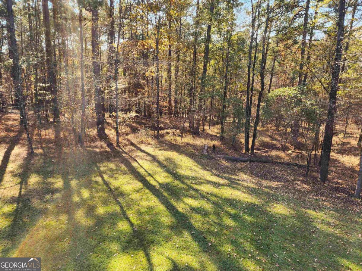 1091 Bouldercrest Way Greensboro GA 30642