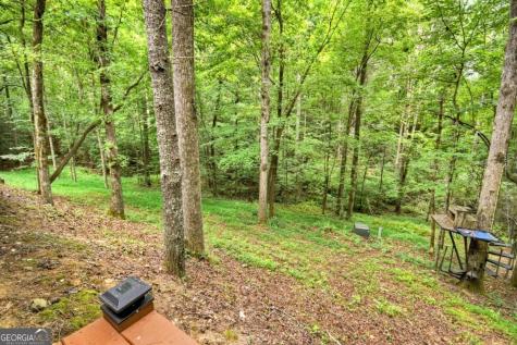 2587 Goose Island Road Cherry Log GA 30522
