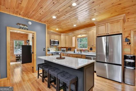 2587 Goose Island Road Cherry Log GA 30522