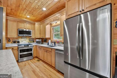 2587 Goose Island Road Cherry Log GA 30522