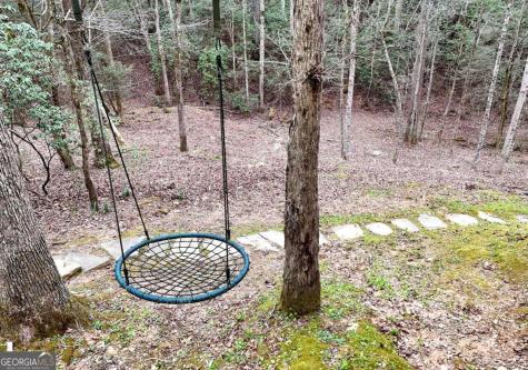 2587 Goose Island Road Cherry Log GA 30522