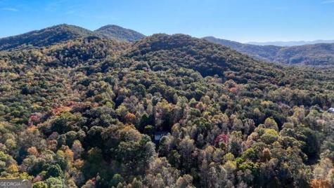 1316 Bradley Blairsville GA 30512