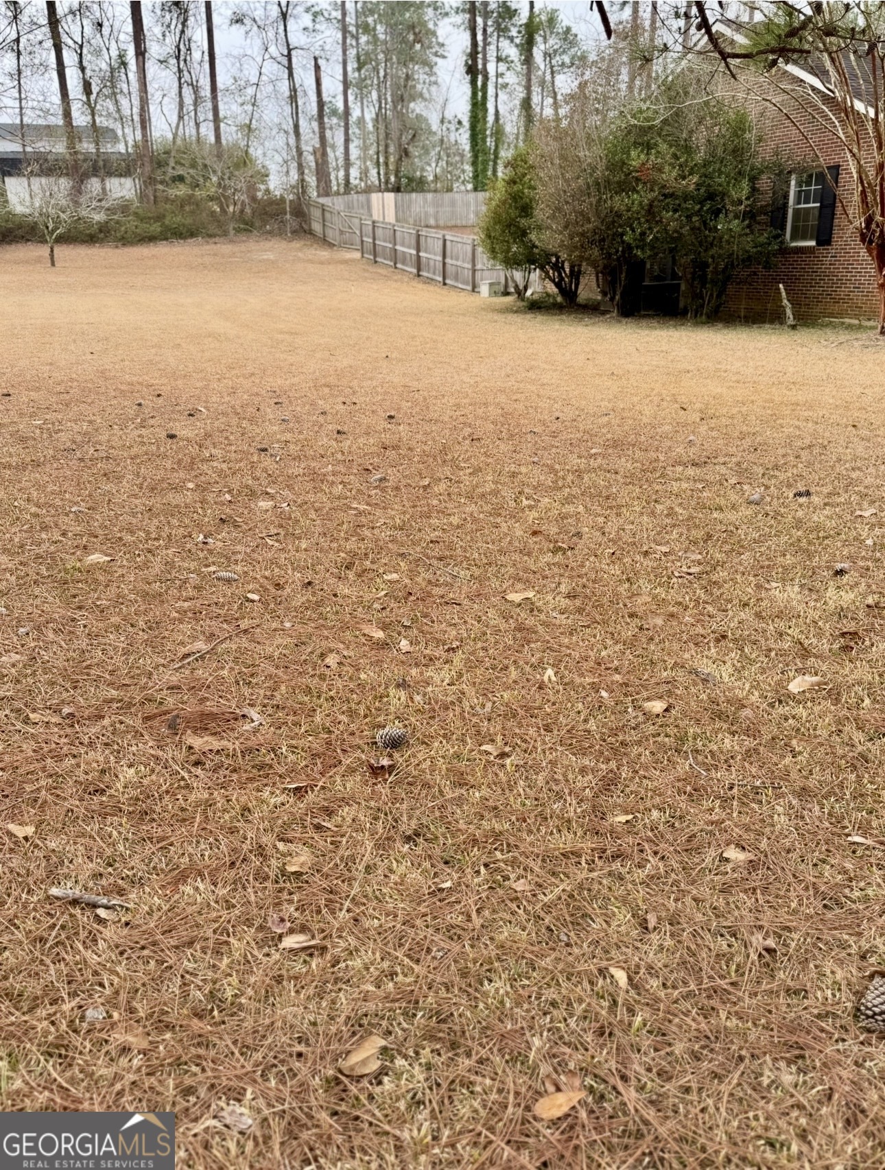 805 Mitchell Drive Vidalia GA 30474