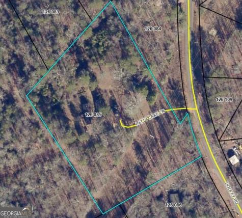110 Patty Cake Lane Clarkesville GA 30523