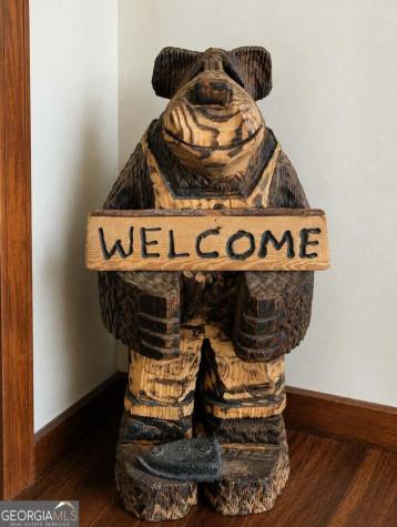 270 Black Bear Ridge Road Ellijay GA 30536