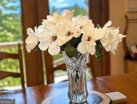270 Black Bear Ridge Road Ellijay GA 30536