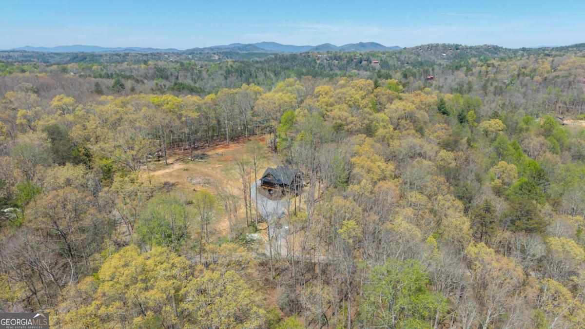 1038 Bluebird Road Mineral Bluff GA 30559