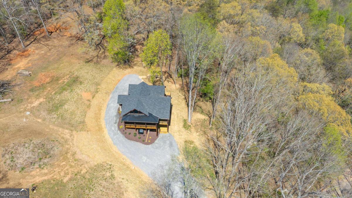 1038 Bluebird Road Mineral Bluff GA 30559