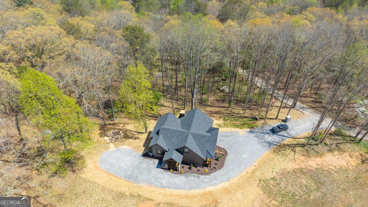 1038 Bluebird Road Mineral Bluff GA 30559