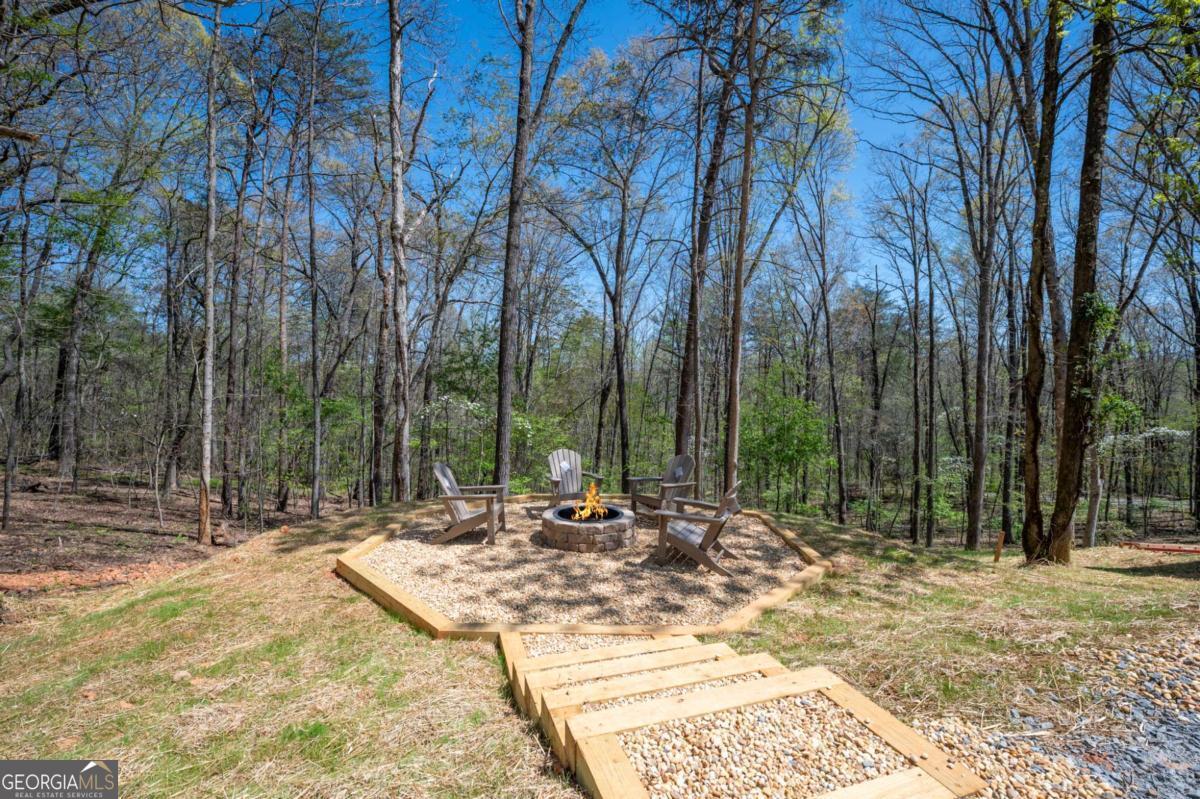 1038 Bluebird Road Mineral Bluff GA 30559