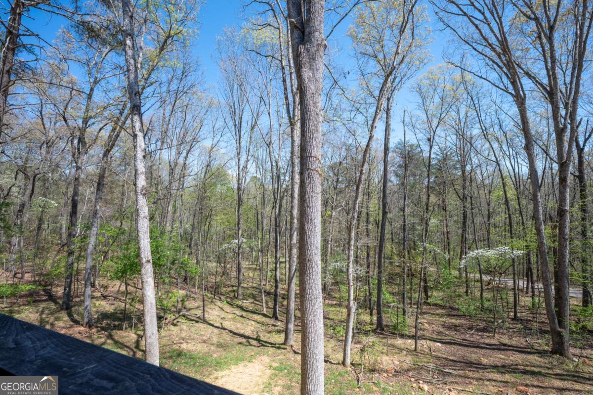 1038 Bluebird Road Mineral Bluff GA 30559