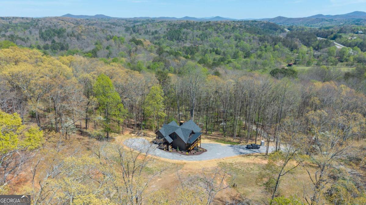 1038 Bluebird Road Mineral Bluff GA 30559