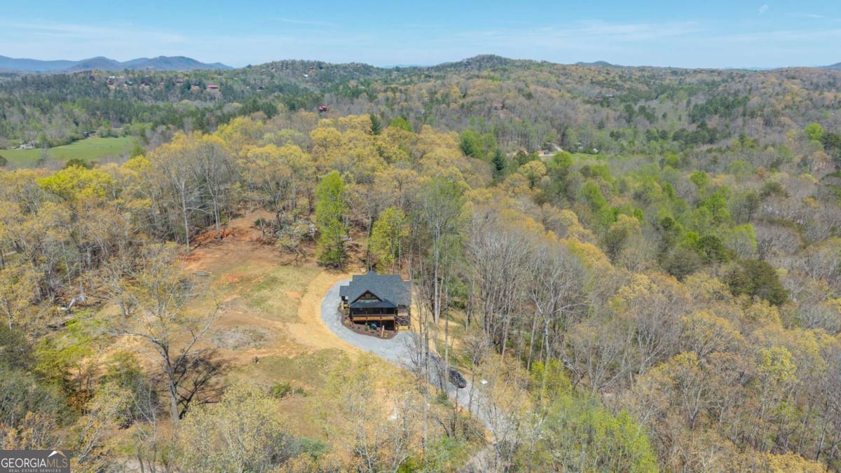 1038 Bluebird Road Mineral Bluff GA 30559