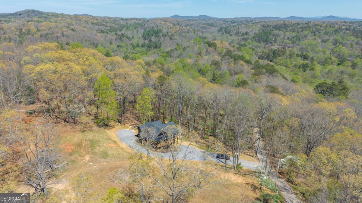 1038 Bluebird Road Mineral Bluff GA 30559