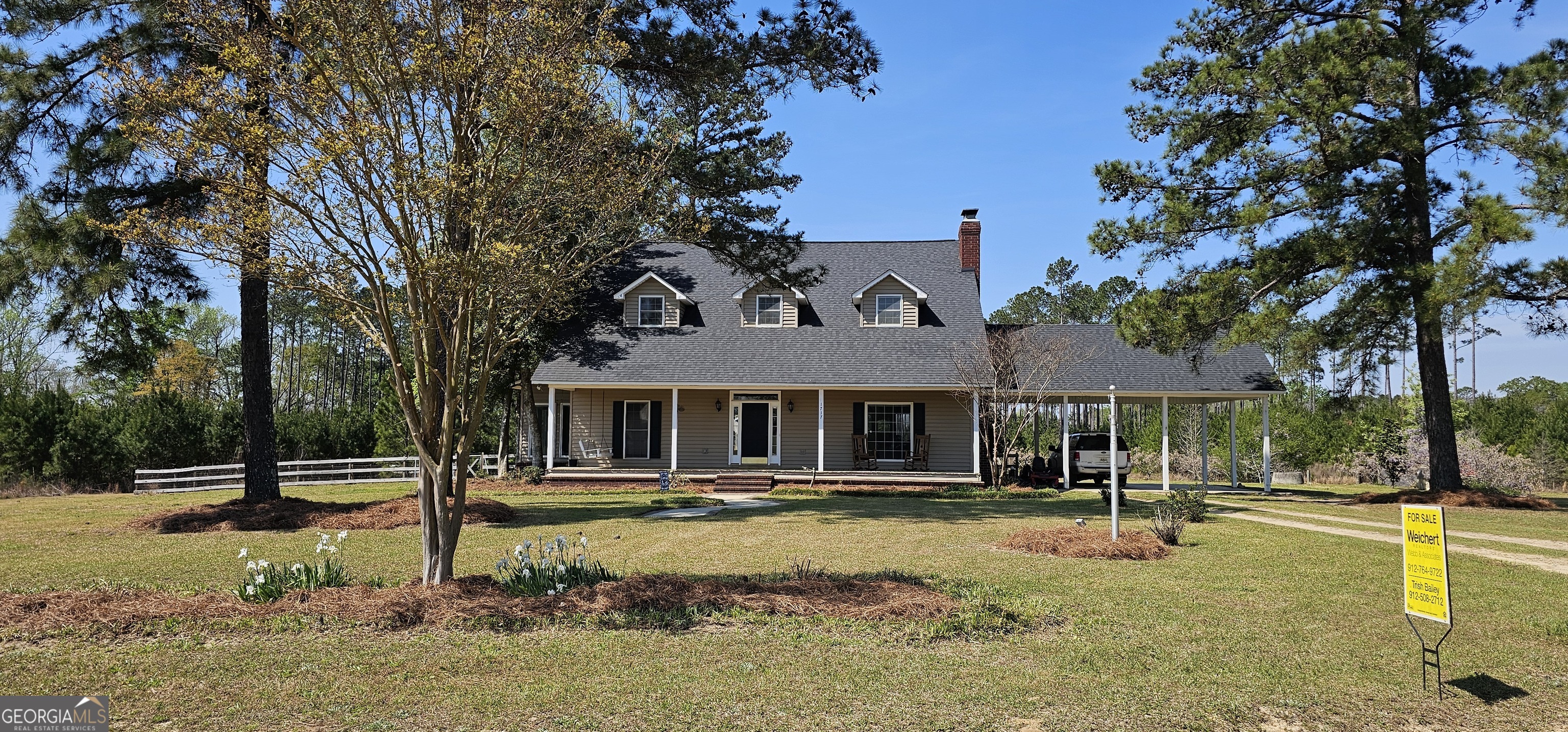 1717 Grady Saunders Road Portal GA 30450